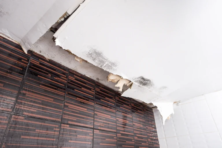 damage and water signs on the ceiling after rainy season