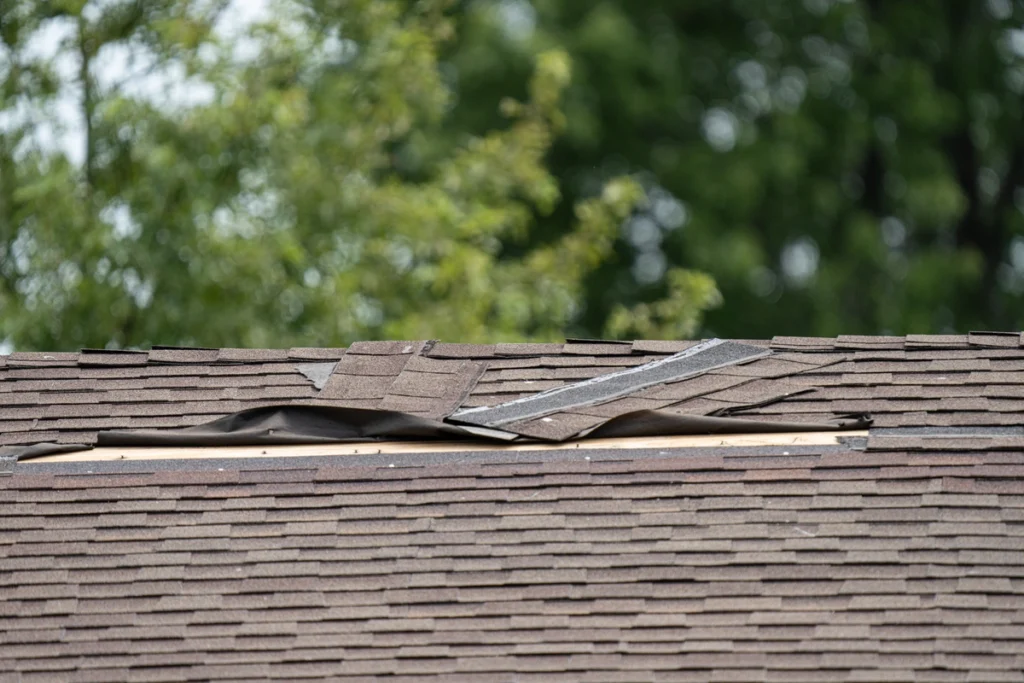 blown off shingles