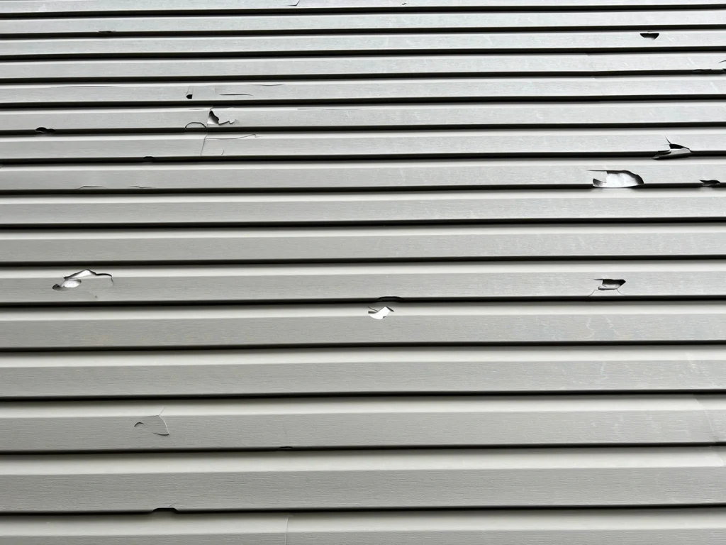 damaged siding 1