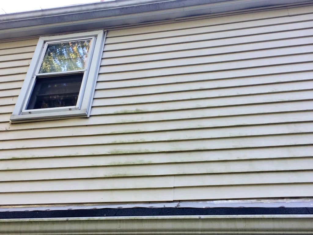 water stained siding