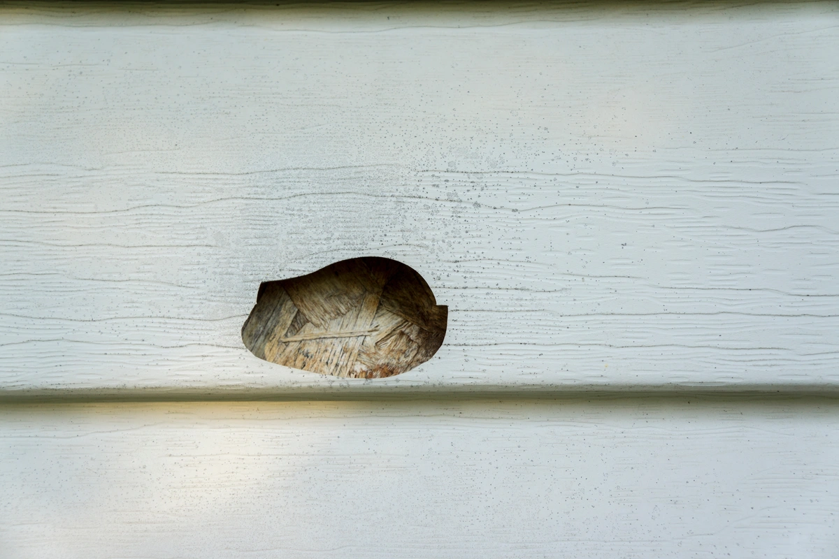 hail damage close up